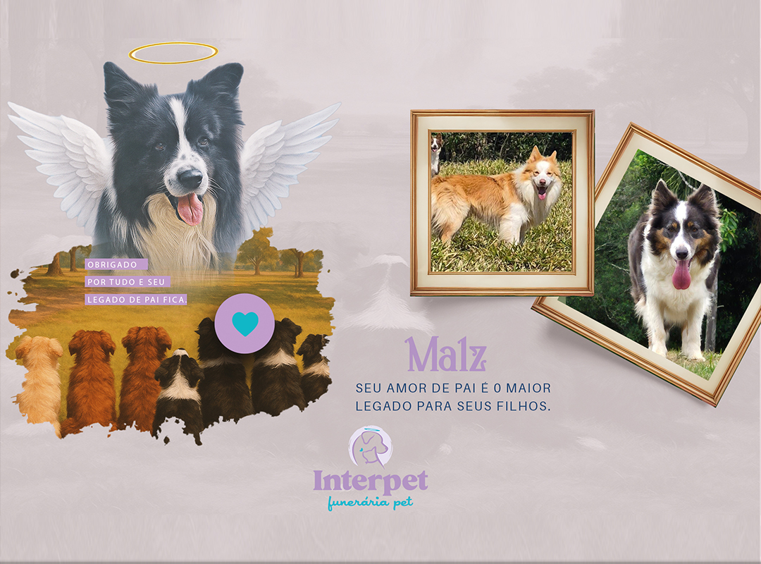 Homenagem ao Malz: Um Pai de Cães que Deixou um Legado de Amor